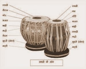 Anatomy of Tabla, Percussion instrument, तबला, ताल वाद्य यंत्र, তবলার বিভিন্ন অংশ, তাল বাদ্য