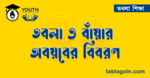 তবলা ও বাঁয়ার অবয়বের বিবরণ